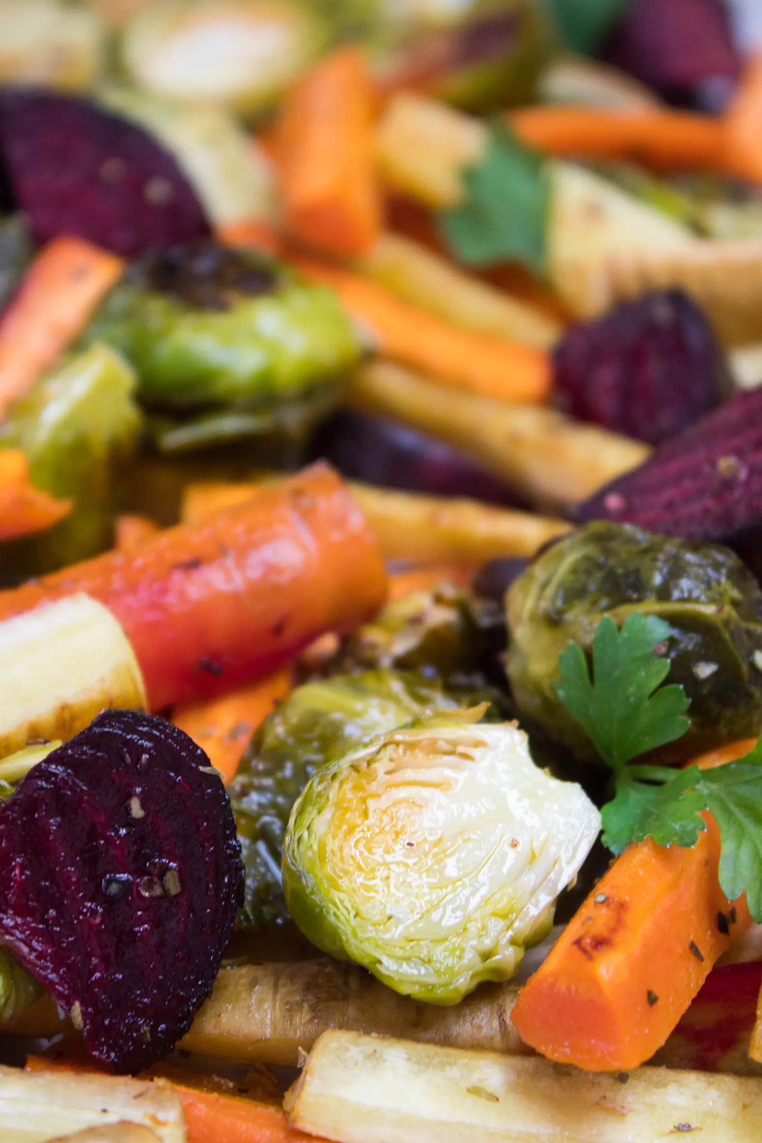 closeup image of roasted vegetable medley of beets carrots parsnips and brussel sprouts fresh out of the oven