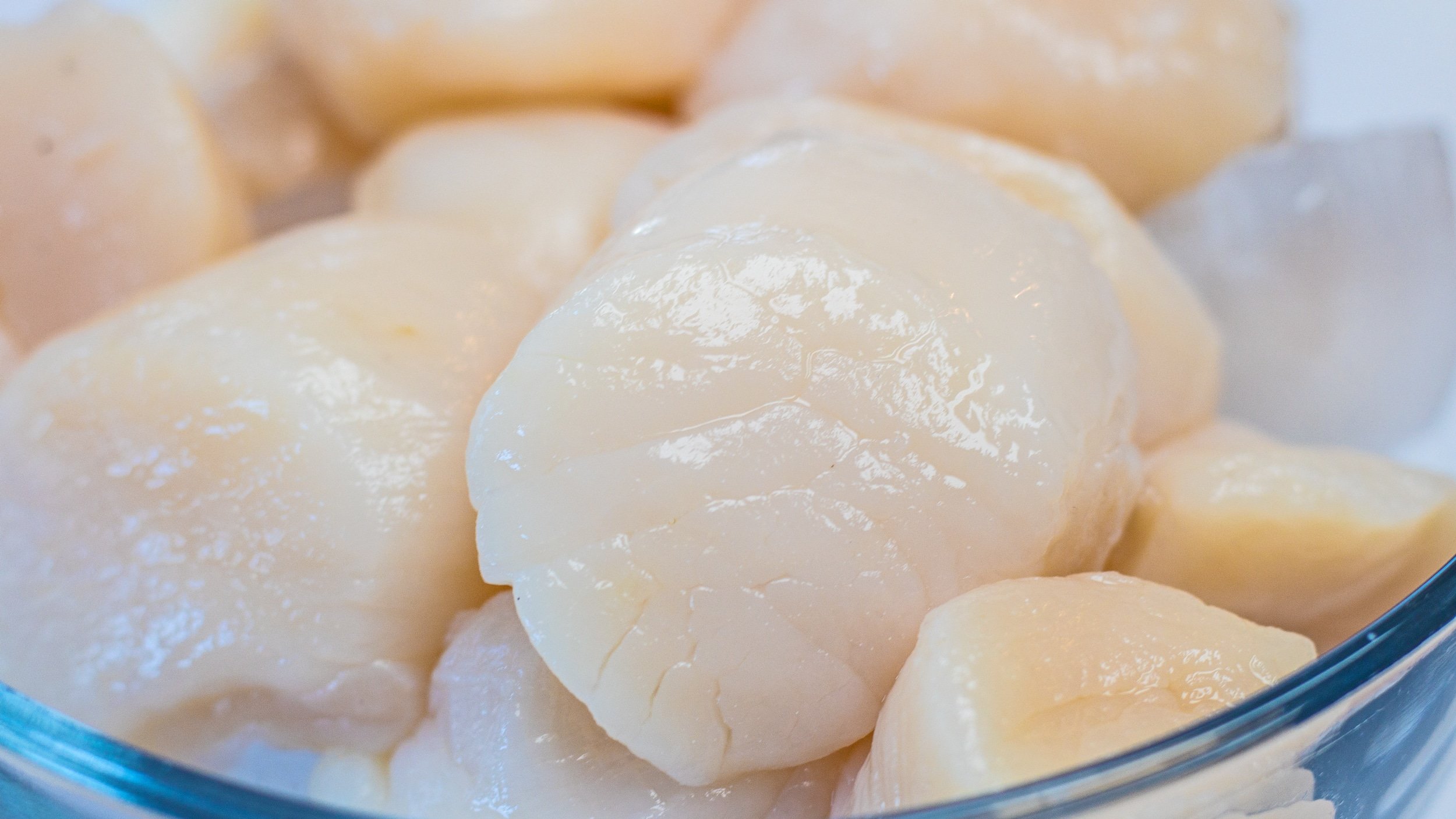 All About Scallops Types Size Fresh Frozen Storing Thawing Bake It With Love