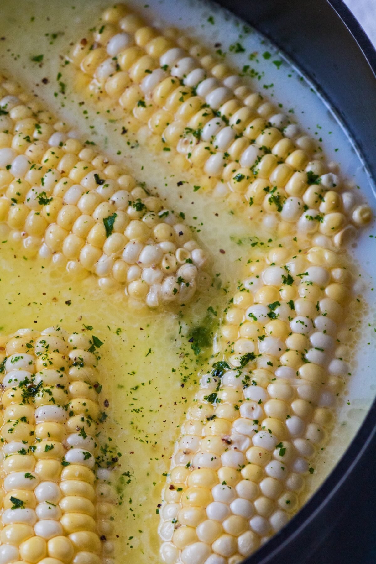 close up photo of halved sweet corn cobs shown in the water, milk, and butter mixture that they were boiled in on the stovetop