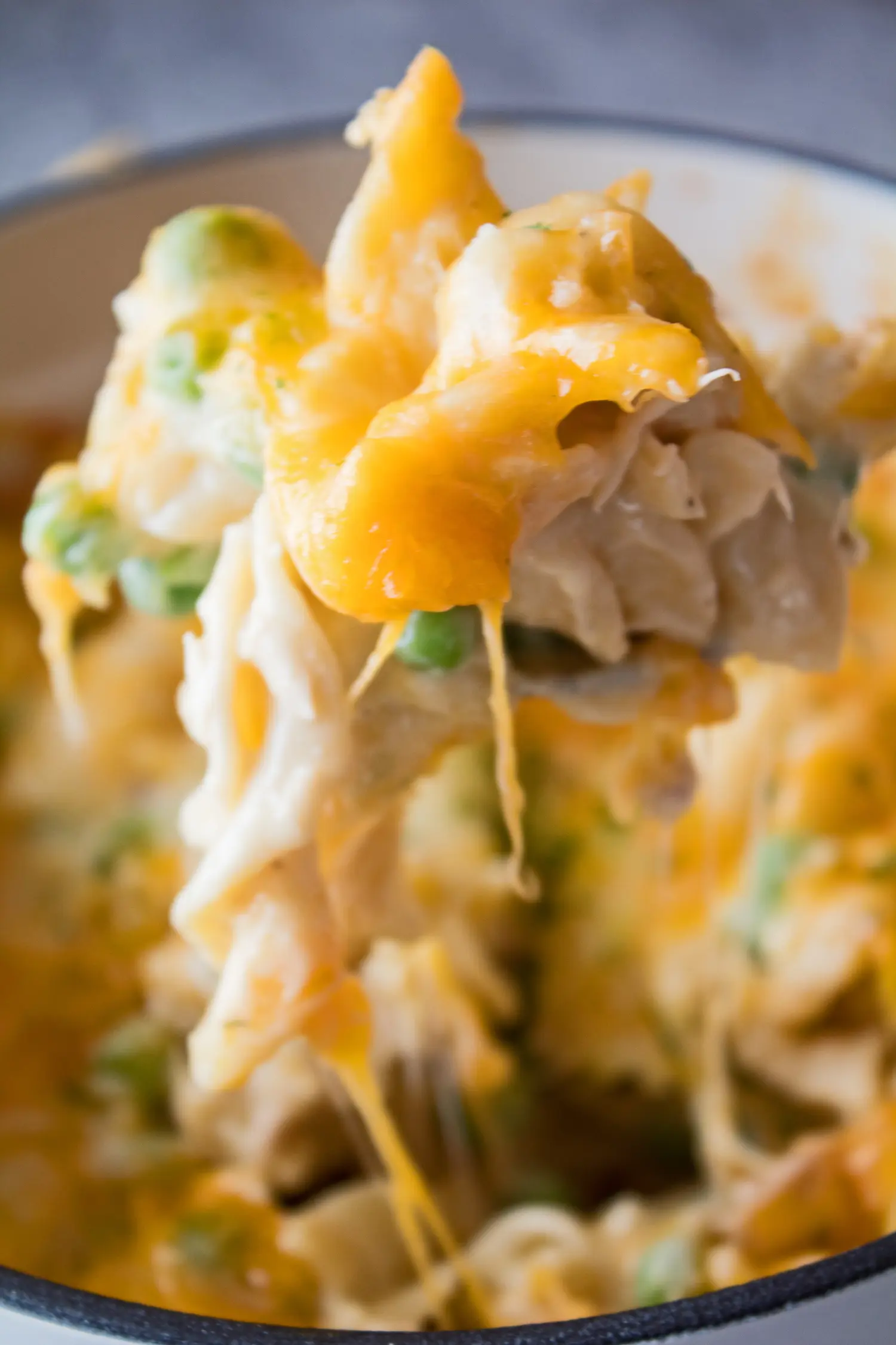 The family classic tuna noodle casserole, serving up all sorts of cheesy goodness!