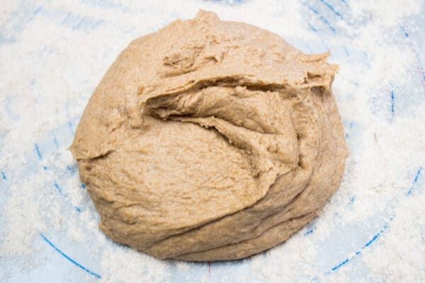 whole wheat bread dough before kneading by hand