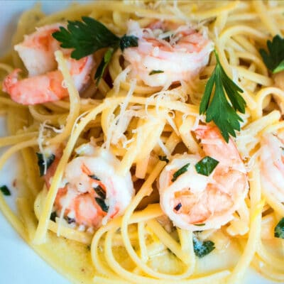 Shrimp scamp over a bed of noodles, with parsley.