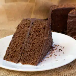 Square image of chocolate fudge cake.