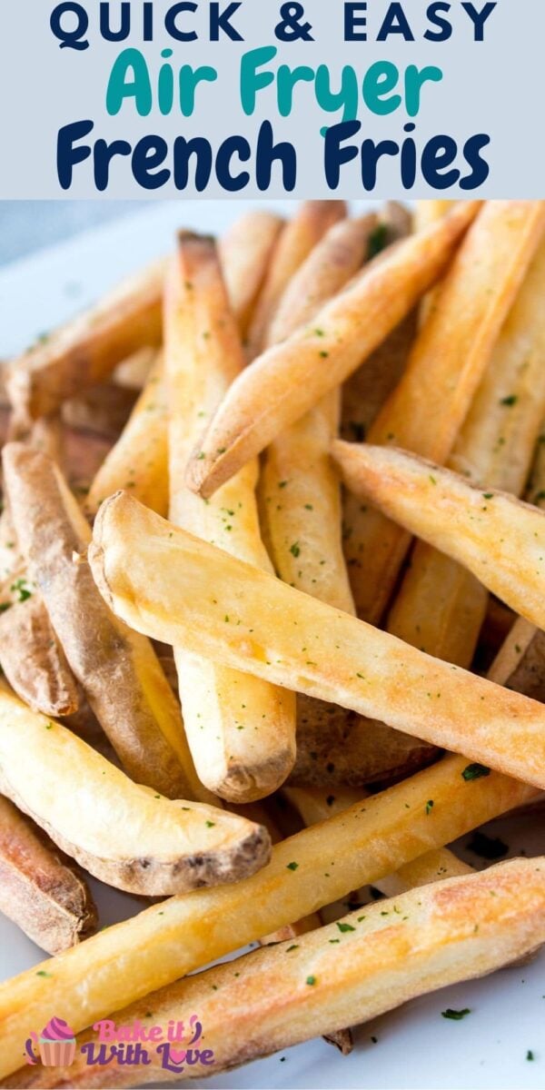 Air Fryer French Fries (Super Easy!) - Lauren's Latest