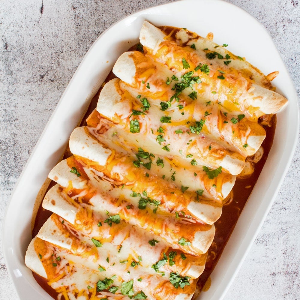 Disse cheesy kylling enchiladas er en nem at lave komfort mad og familie favorit middag!