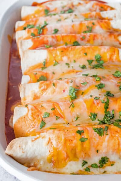 These cheesy chicken enchiladas are an easy to make comfort food and family favorite dinner!