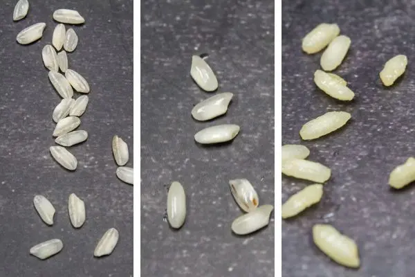 arborio rice in three stages, uncooked, toasted, and al dente