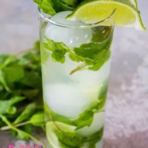 The perfect Vodka Mojito is easy to make and a wonderful citrus cocktail to enjoy for Cinco de Mayo or any day!