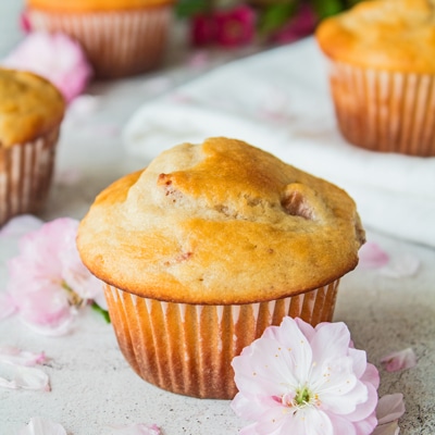 small square side view of the strawberry yogurt muffins.