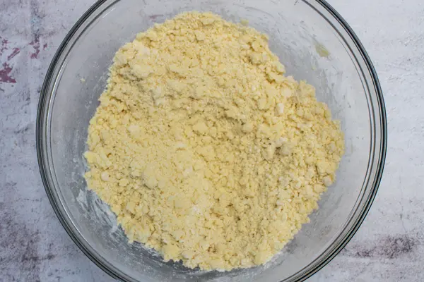 loose crumbled dough after flour is added.