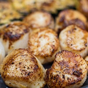 large square easy hibachi scallops served with zucchini.