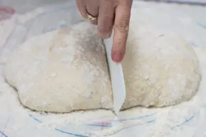 cut the dough into two portions for loaves or boules.