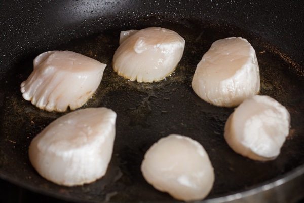 Seasoned sea scallops placed into hot skillet for searing.