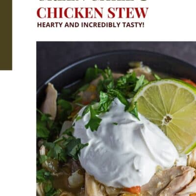 Color block pin with image of green chile chicken stew.