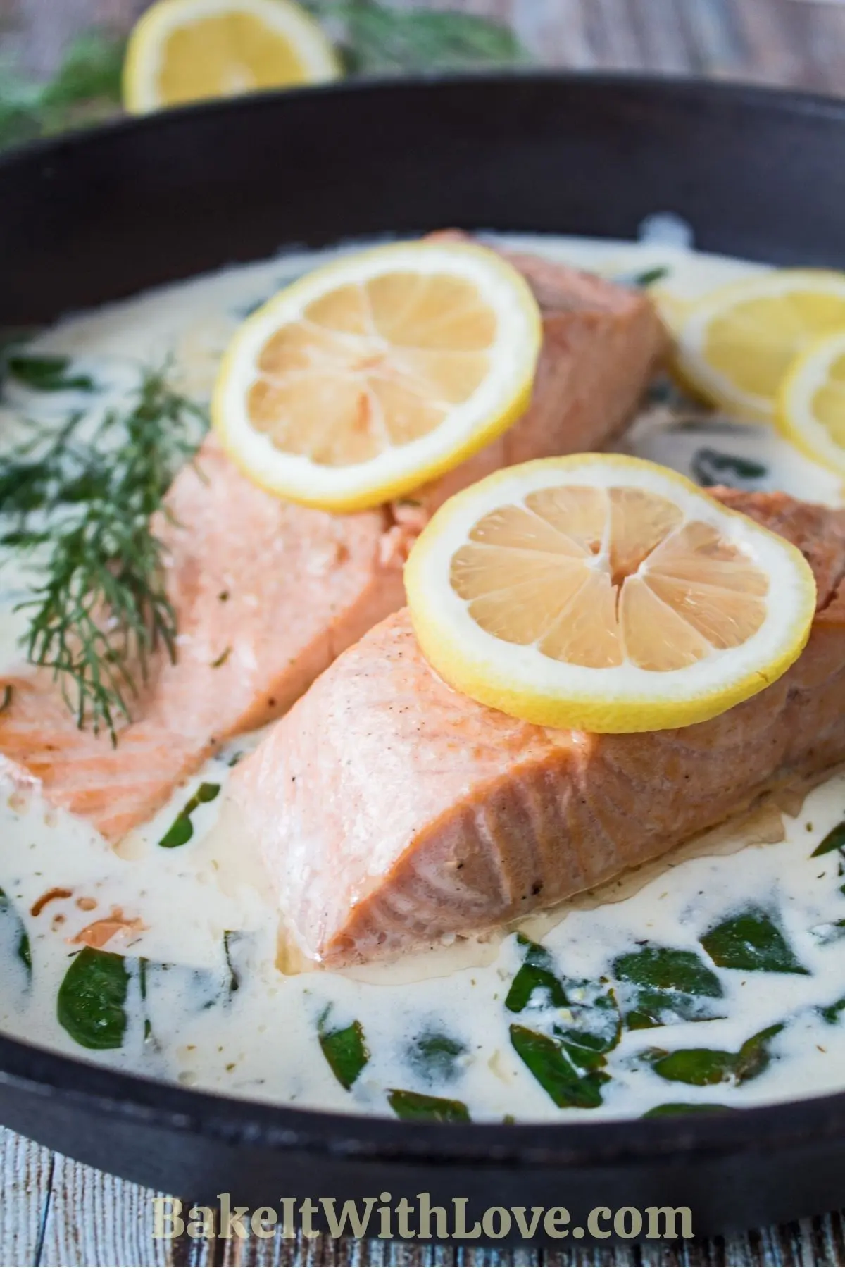Perfectly pan-fried salmon in creamy white wine sauce with lemon slices and fresh dill weed.