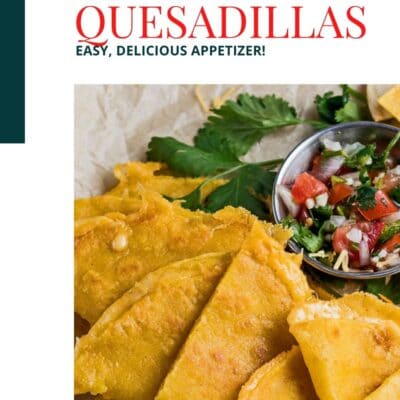 Color block pin for corn tortilla quesadillas.
