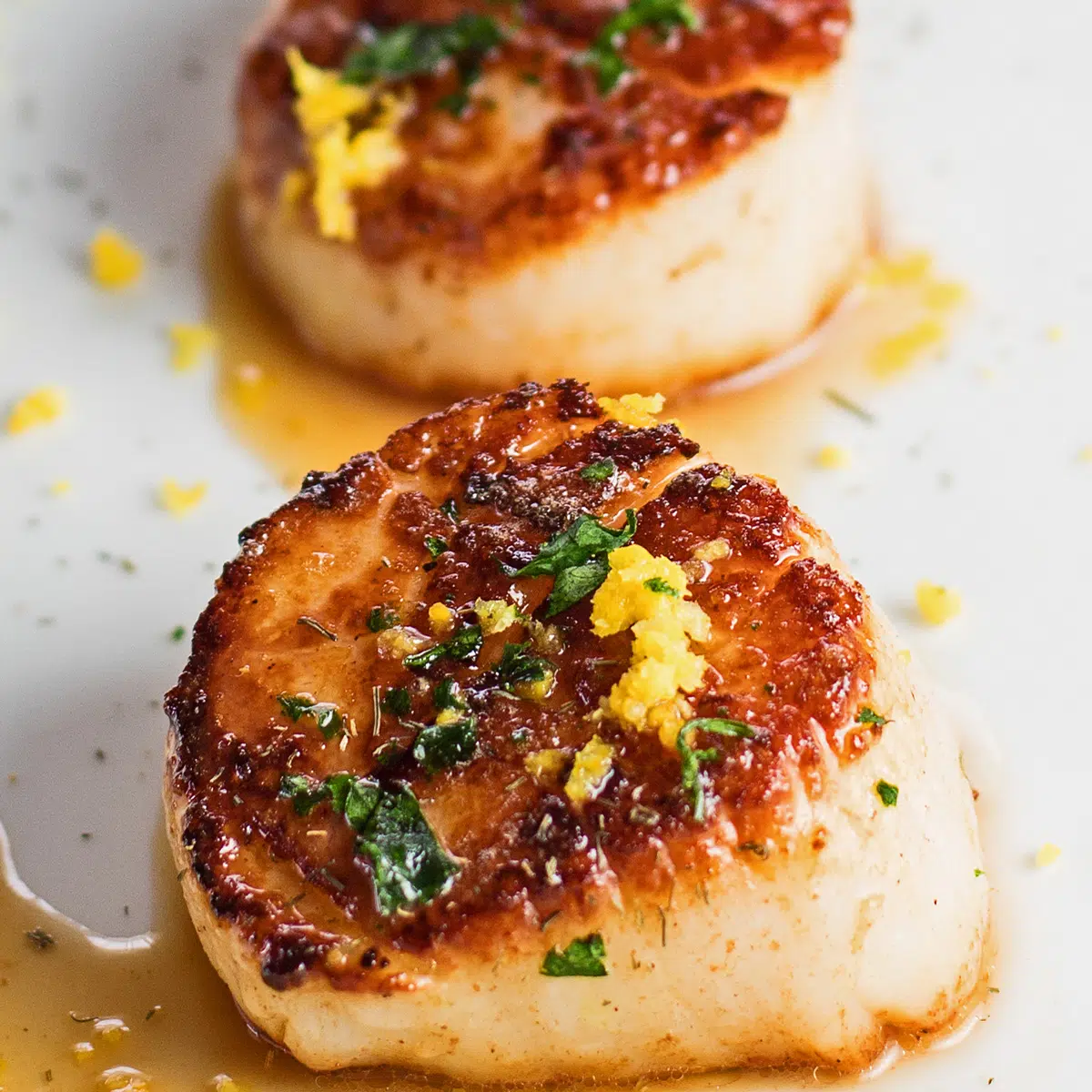 What to serve with scallops, the 33 best side dishes, appetizers, and more.