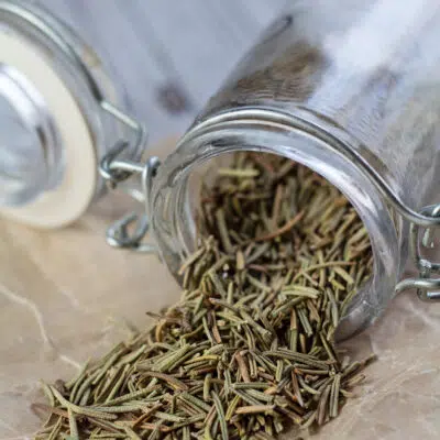 Dried rosemary substitute for fresh rosemary in cooking.