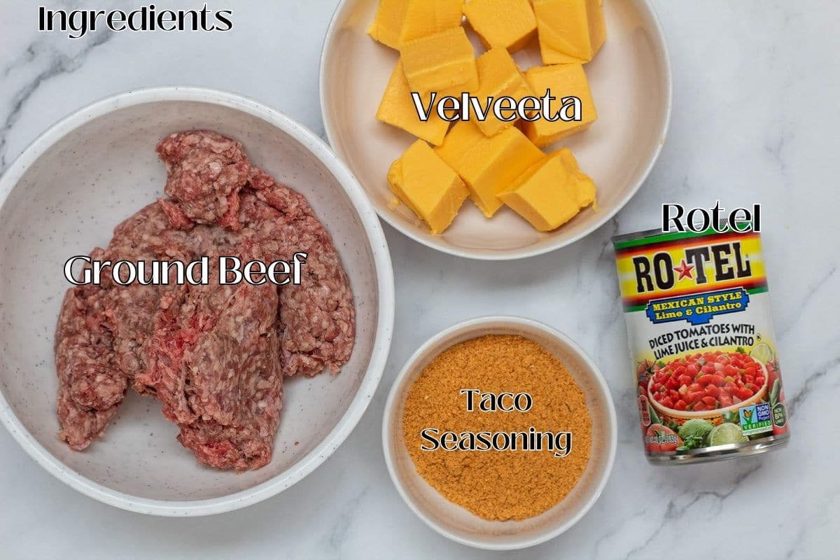 Rotel dip ingredients with labels.
