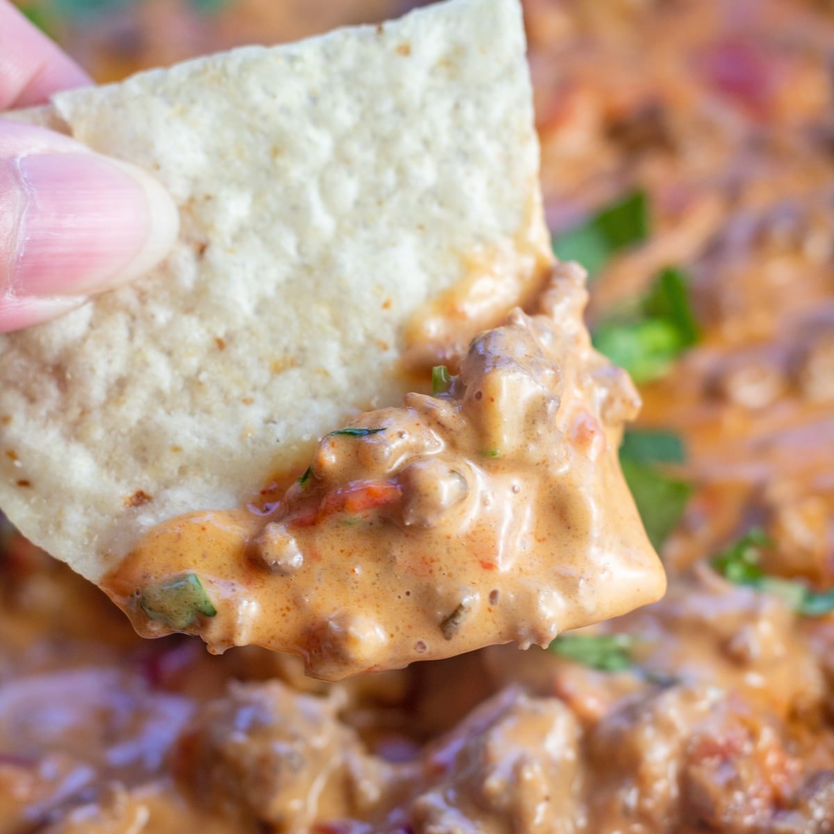 rotel dip ground beef recipe