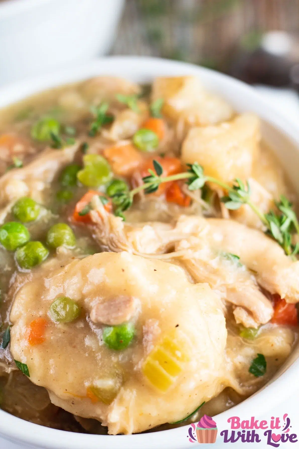 Tall overhead of the dished up Bisquick chicken and dumplings.