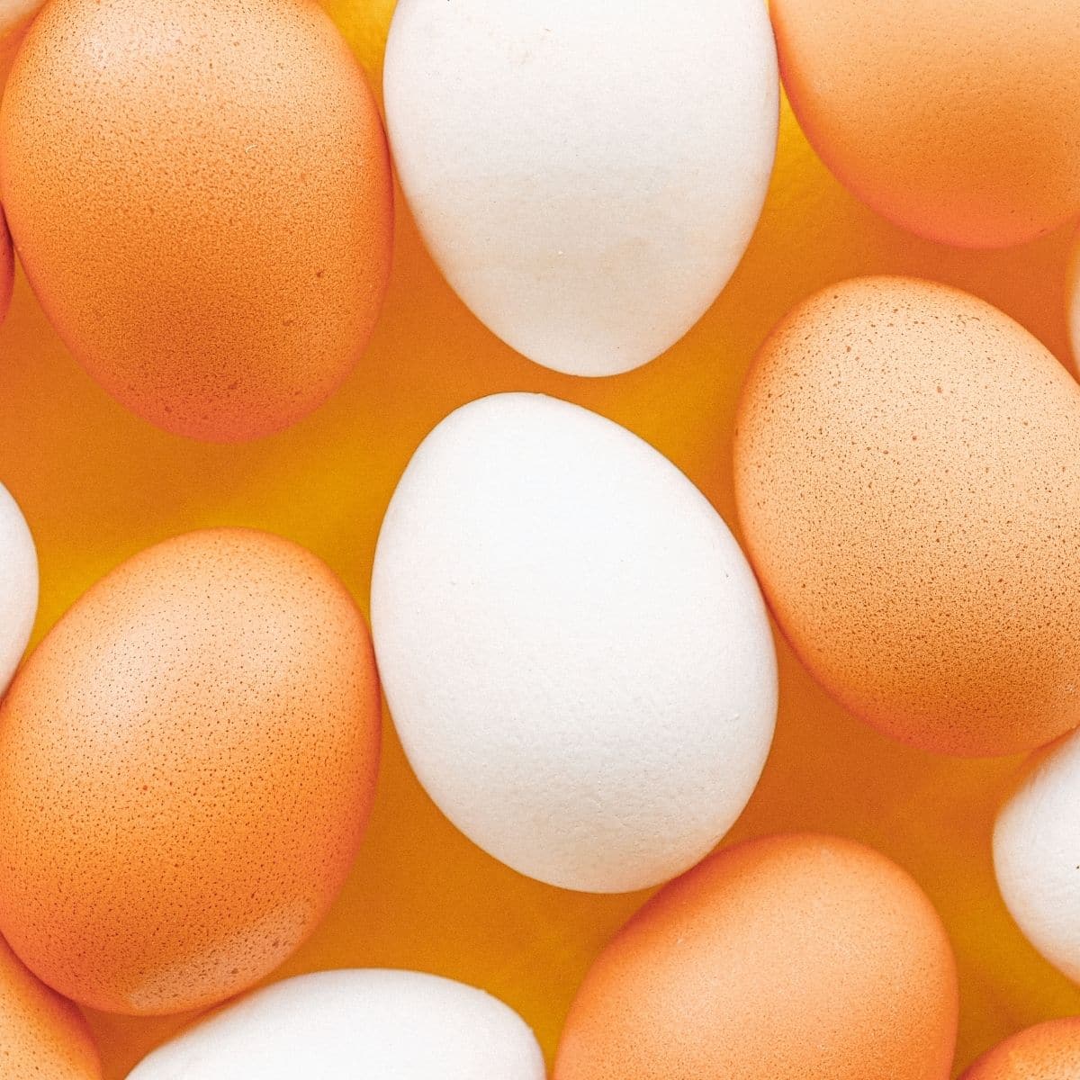 Best eqq substitute square image of assorted whole brown and white eggs.