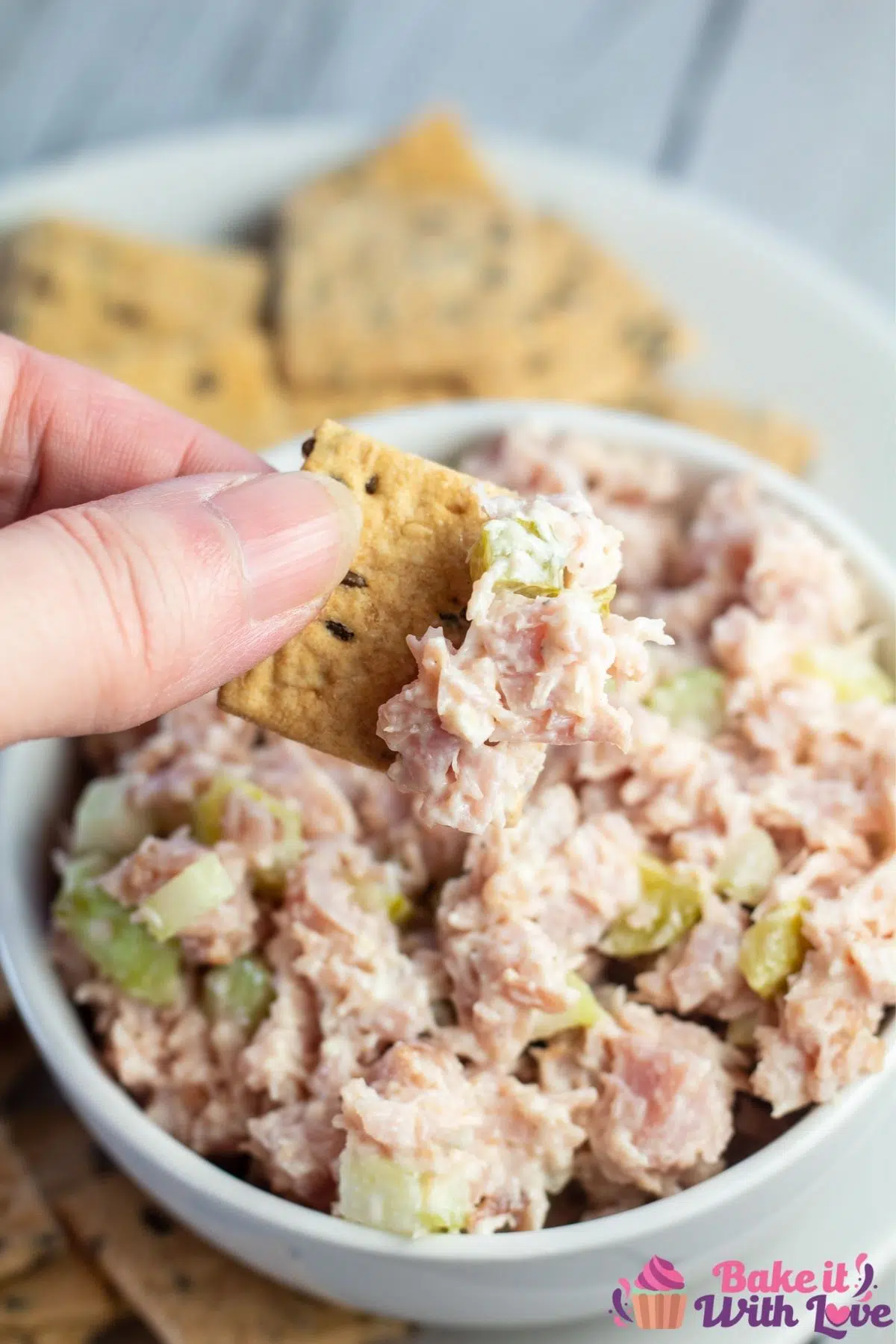 Tall image of cracker being dipped into ham salad.