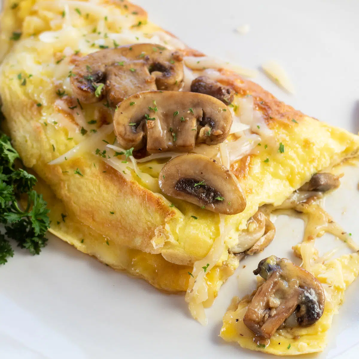 Square image of mushroom swiss omelet on a white plate.