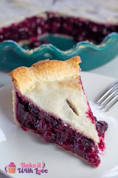 Tall image of blueberry pie sliced and served on white plate.