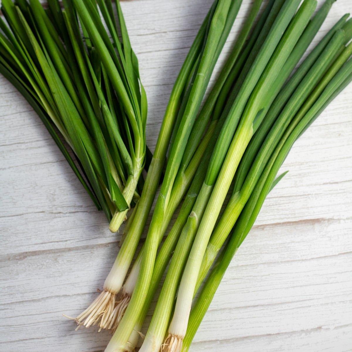 Green onions vs chives image showing both fresh chives and green onions.