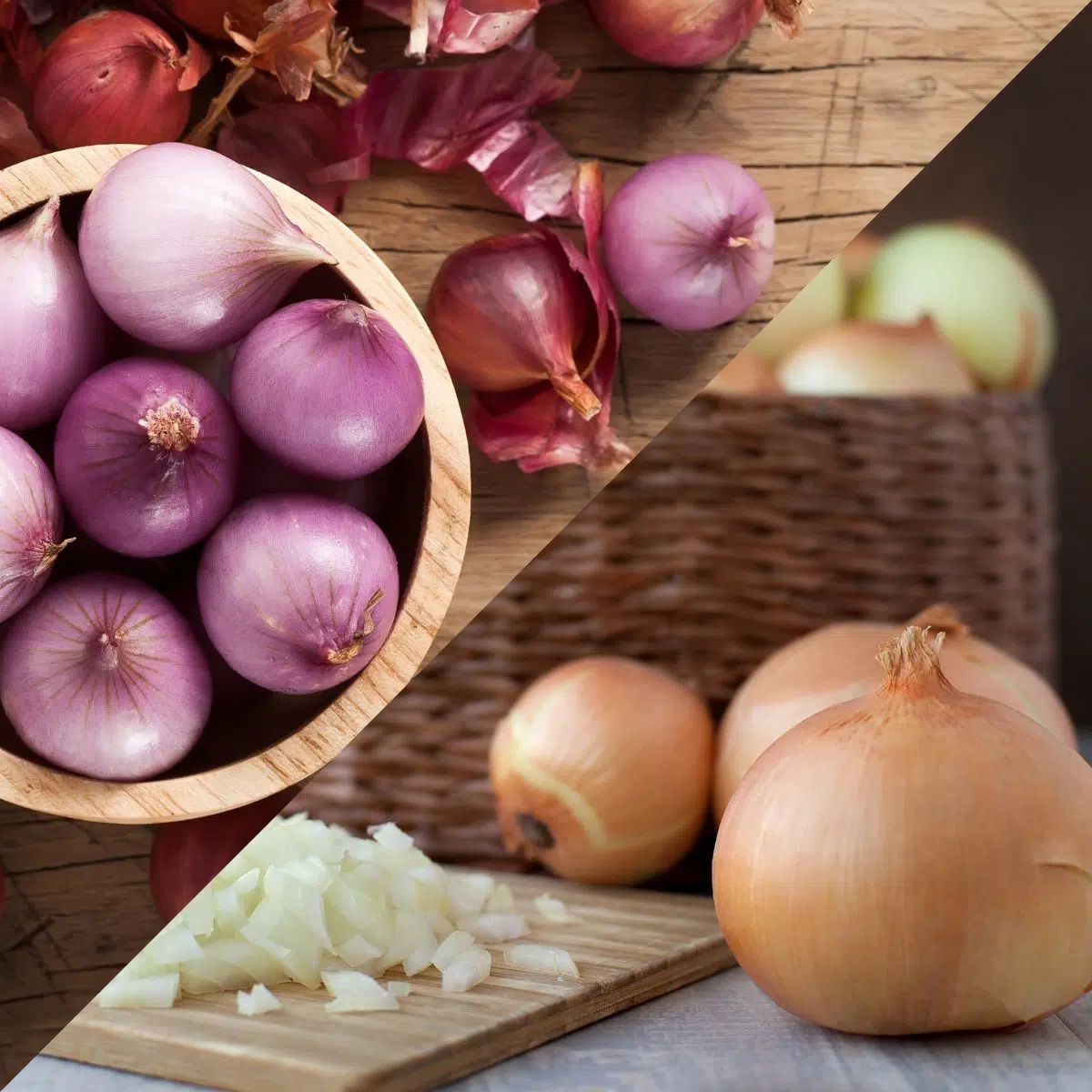 Difference between shallots vs onions and how to use each best.