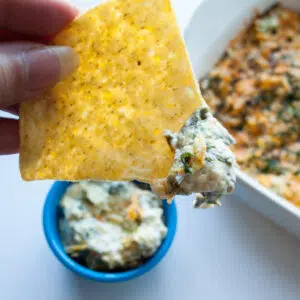 Square image of chip dipped into spinach artichoke dip.