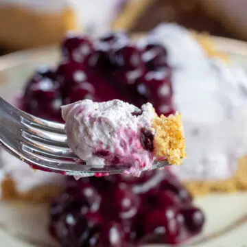 Wide image of the no-bake blueberry cheesecake readied on a form for a bite.