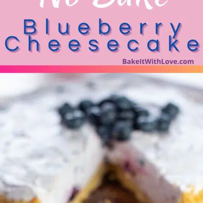 Best no-bake blueberry cheesecake pin with 2 images and text divider.