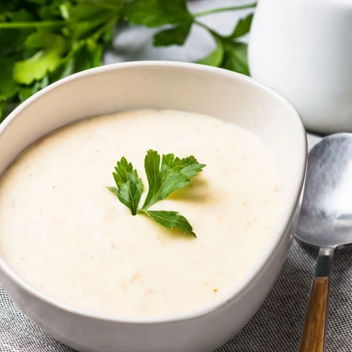 Il miglior sostituto della crema di pollo per la zuppa condensata in scatola in tutte le tue ricette.