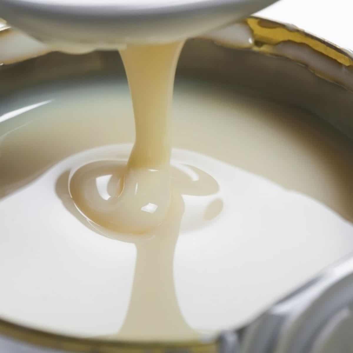 Nejlepší náhrada slazeného kondenzovaného mléka a alternativy pro použití při pečení a vaření.