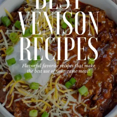 Best venison recipes pin with vignette and text overlay above venison chili in white bowl.