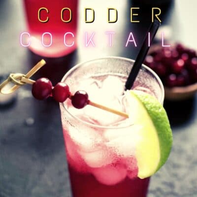 Best Cape Codder cocktail pin with text overlay.