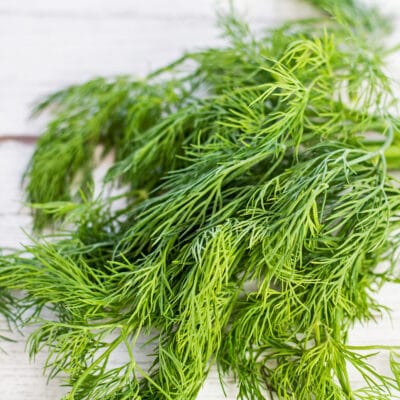 Best dill substitute to use in any cooking recipe.