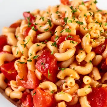 Wide image of macaroni and tomatoes in white pasta bowl.