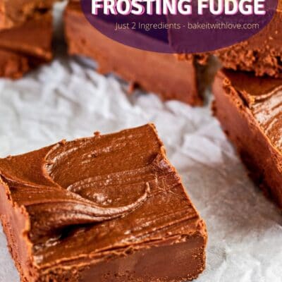 Best 2 ingredient chocolate frosting fudge recipe pin with text bubble.