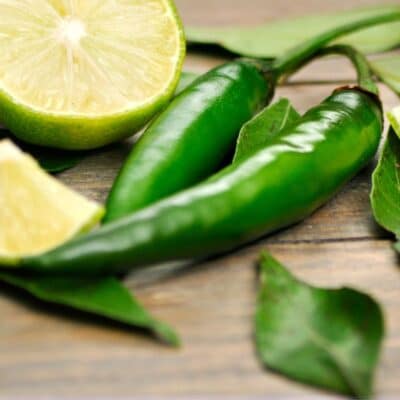 Best diced green chiles substitute that you can use in any recipe.