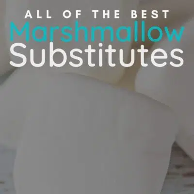 Best marshmallow substitute pin with homemade marshmallow fluff recipe.