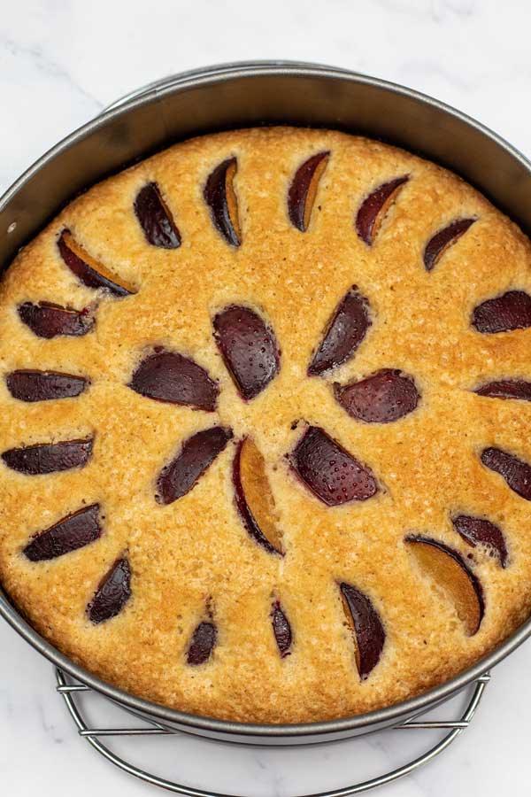 Process photo 8 baked plum cake in the springform pan.