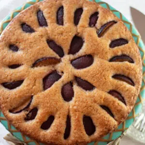 Closeup on the baked plum cake topped with fresh plum slices, before slicing and serving.