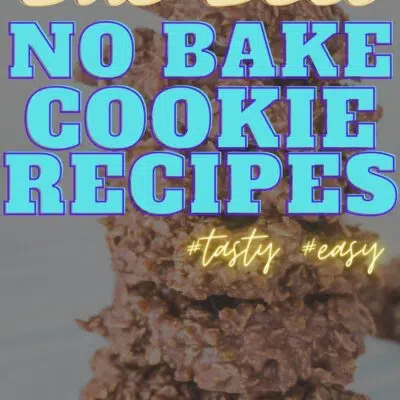 Best no bake cookie recipes pin with text title overlay over stacked cookies image.