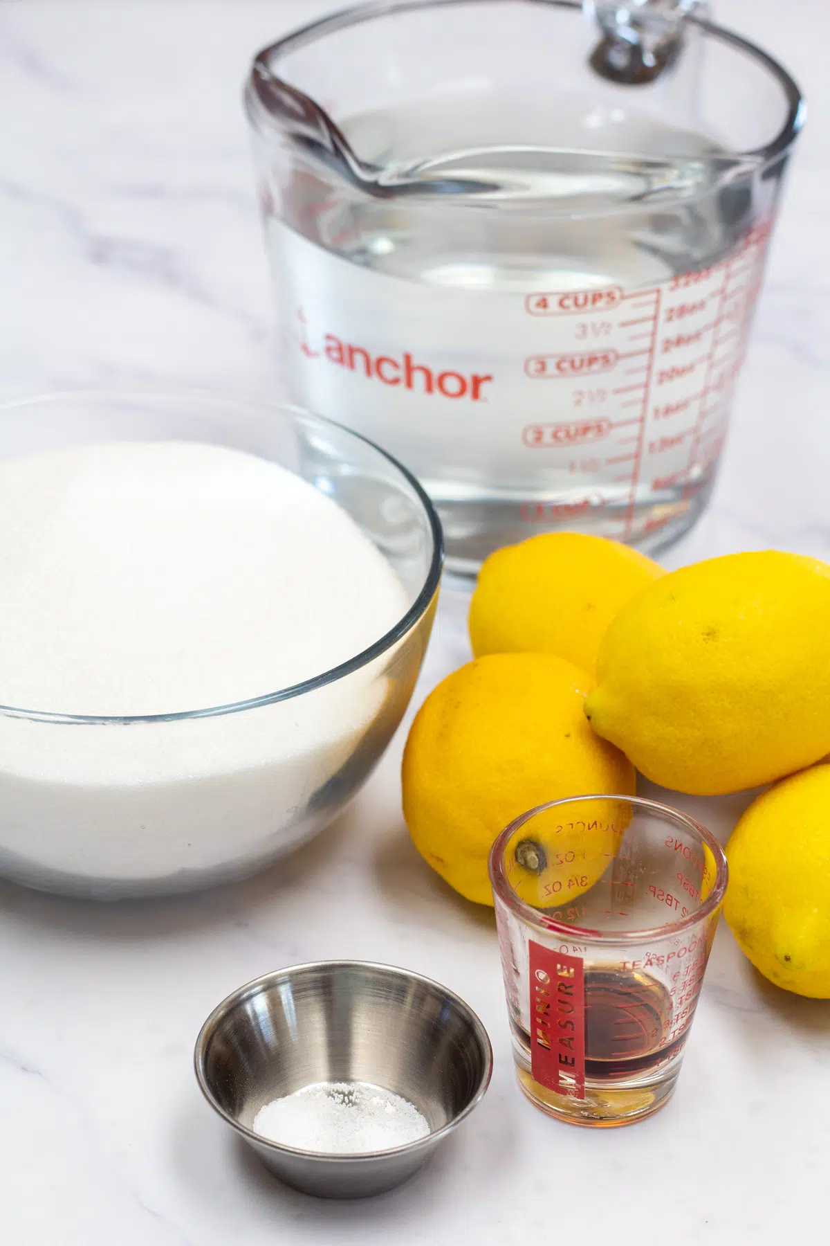 Photo showing ingredients needed for candied lemon slices.