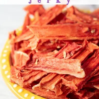 Best dehydrated watermelon jerky pin with text header.