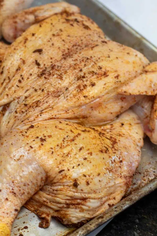 Process image 8 showing seasoned chicken.