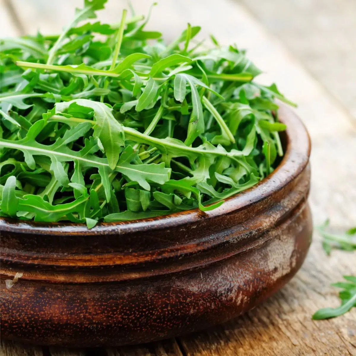 Best arugula substitute to use in any cooking recipe featuring a bowl of fresh rocket to enjoy.